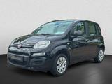 Fiat Panda 1.2*ZAHNRIEMEN&SERVICE NEU*KLIMA*1-HAND