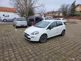 Fiat Punto EASY 0.9 8V TwinAir Start&Stopp TÜV Dez 27 - Fiat Punto EASY mit Benzin-Antrieb
