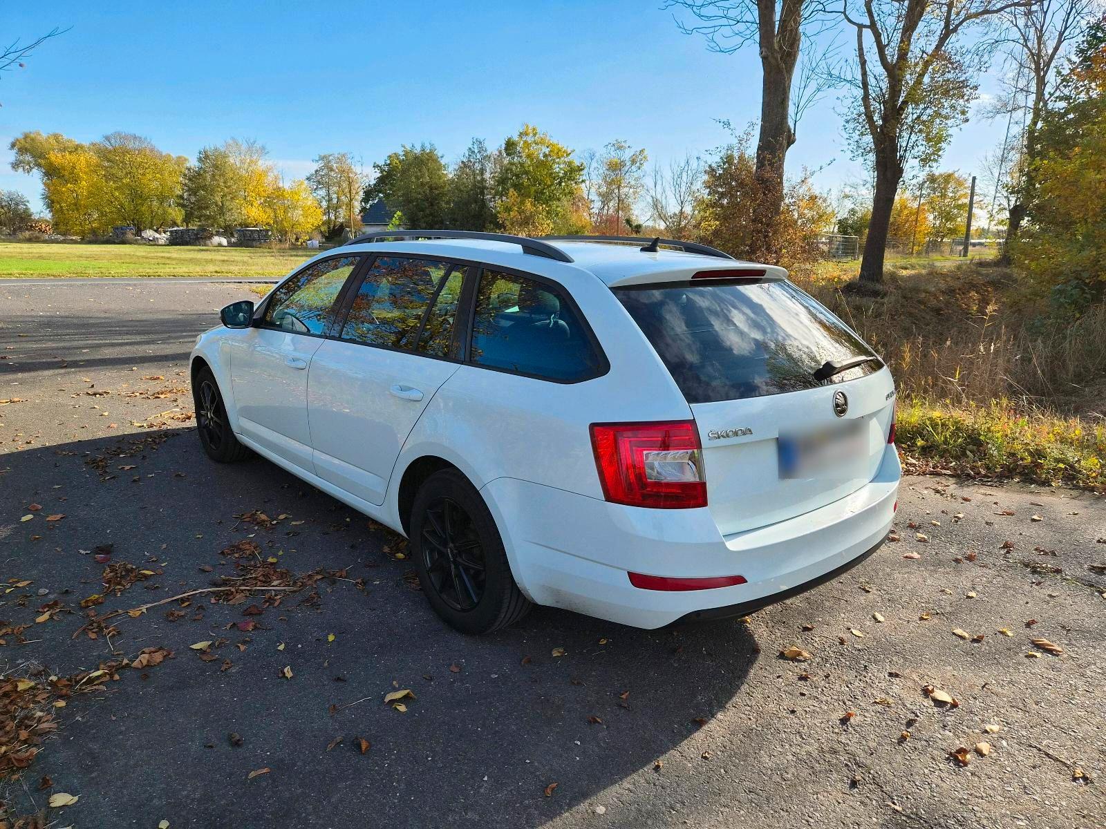 Skoda Octavia 2015 — вигляд ззаду