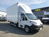 Opel Movano Möbelkoffer Koffer Premium - 8x4
