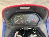 Honda NX 650 Dominator (RD08) - HONDA DOMINATOR