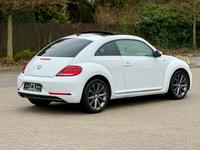 Volkswagen Beetle Allstar BMT/KAMERA/SHZ/SCHECKHEFT/ALLWETT