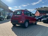 Fiat Panda Neues Modell 1.0 *5 Sitzer Klima PDC DAB* - Fiat Panda Vorführfahrzeuge