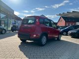 Fiat Panda Neues Modell 1.0 *5 Sitzer Klima PDC DAB* - Fiat Panda: Sitzer