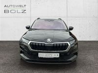 Skoda Karoq - Vorschau Bild 2