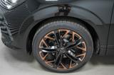 Cupra Terramar 2,0 TSI DSG 4Drive VZ - LAGER - Cupra Terramar Tageszulassungen