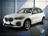 BMW X5 30 d Mild Hybrid 48V xLine xDrive Steptro - BMW X5 Hybrid (Diesel/Elektro): Weiß