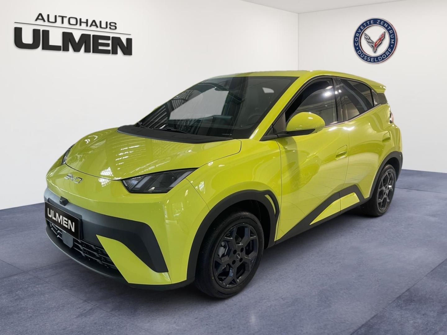 BYD Dolphin Surf 115KW Comfort Leder Navi Sitzheizun