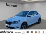 Skoda Fabia Best of Clever Nav RFK PDCvh LED Apps - Skoda Fabia: Clever Best Of