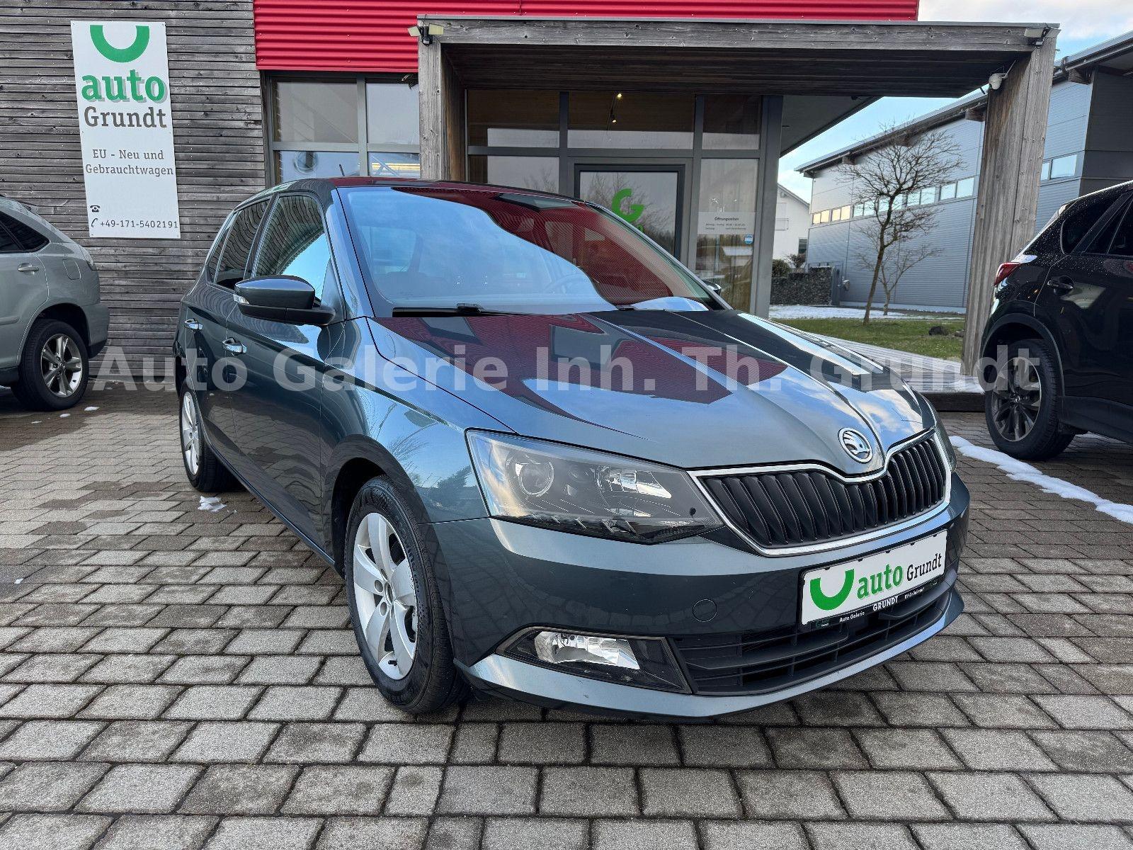 Skoda Fabia Style TDI Automatik