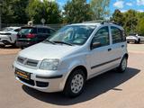 Fiat Panda 1.2 8V Dynamic Klima+TÜV 05/2028+ZR neu - Fiat Panda Dynamic mit Benzin-Antrieb