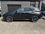 Lexus NX 350h Luxury Line Panoramadach Allrad - Lexus NX Luxury-Line