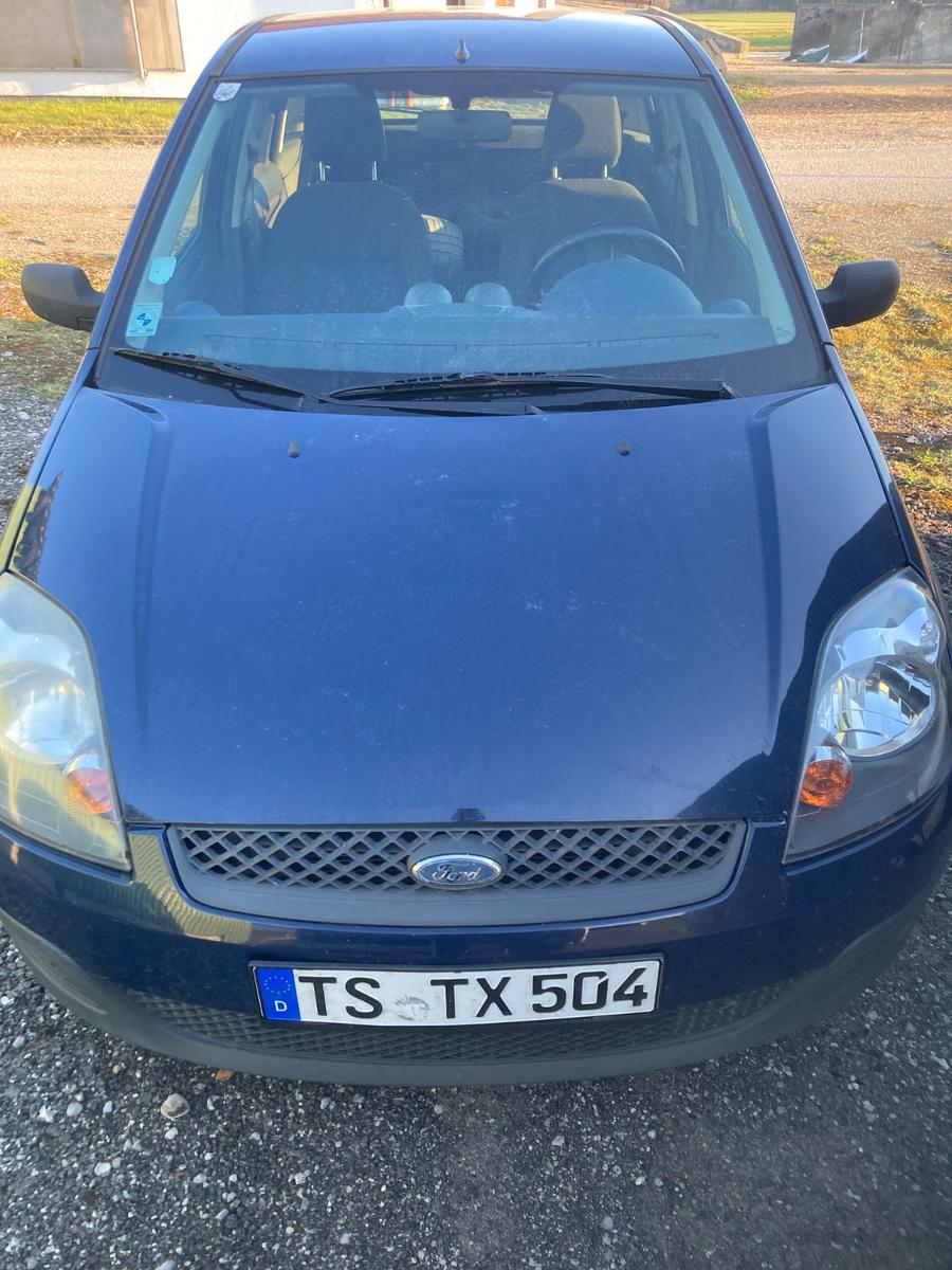 Ford Fiesta Ambiente