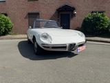 Alfa Romeo Spider 1750  - Alfa Romeo Spider: Weiß