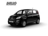 Fiat Panda (Pandina) ICON Hybrid Parksensoren Klimaan - Fiat Panda: Schwarz