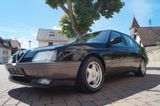 Alfa Romeo 3.0 V6/H-Zulassung/Sammler-Fahrzeug - Alfa Romeo 164: V6