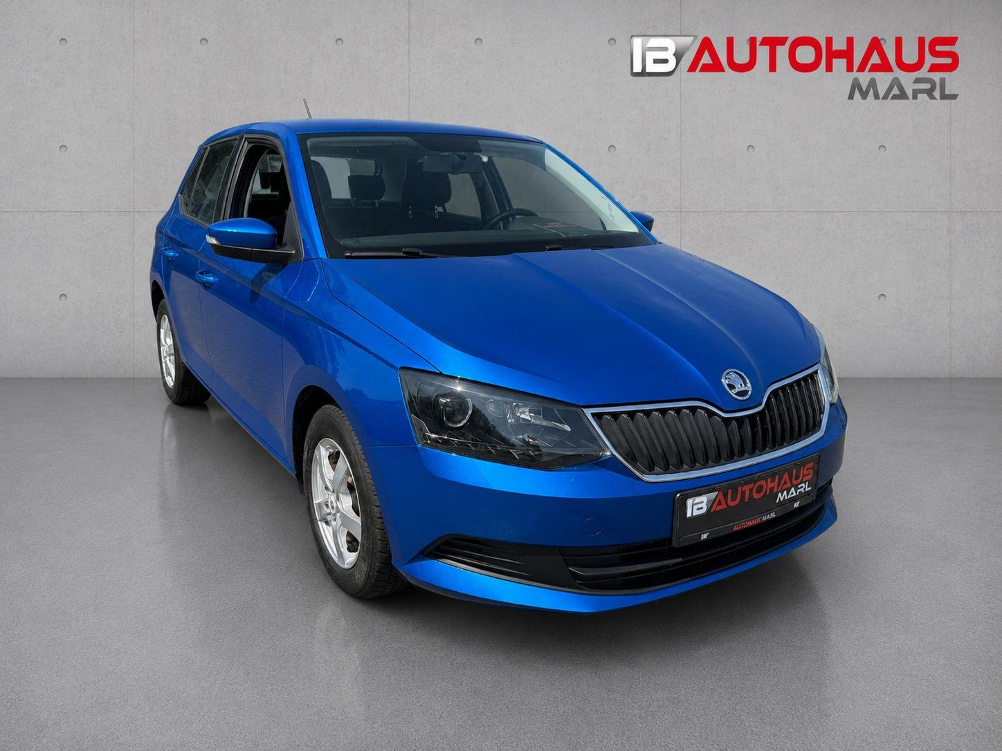 Skoda Fabia 1.0 MPI "Ambition" '1.Hand'72.800KM'LED'
