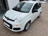 Fiat Panda Easy erst 52000 km top Zustand - Fiat Panda Gebrauchtwagen in Dortmund