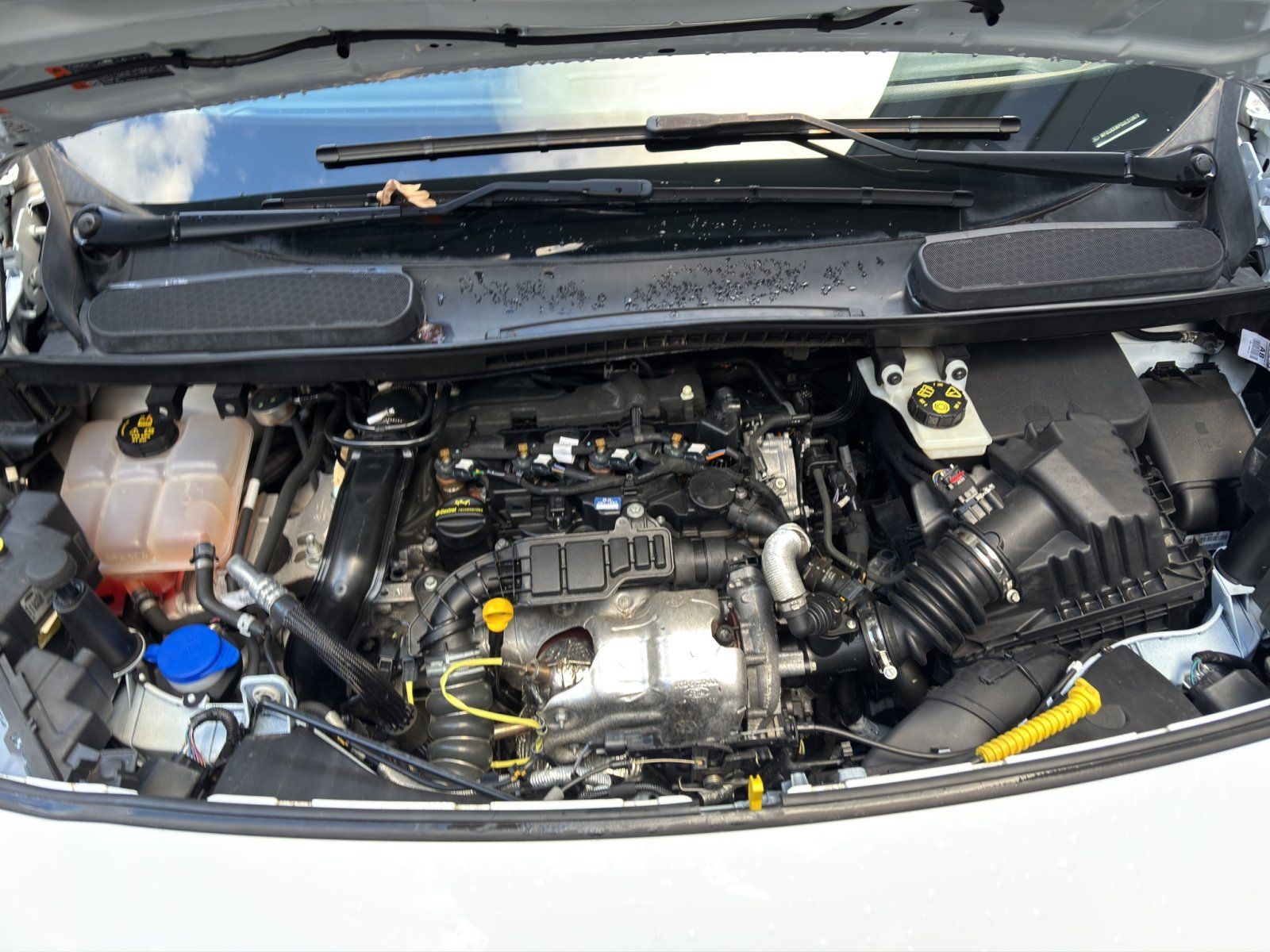 Fahrzeugabbildung Ford Grand Tourneo Titanium