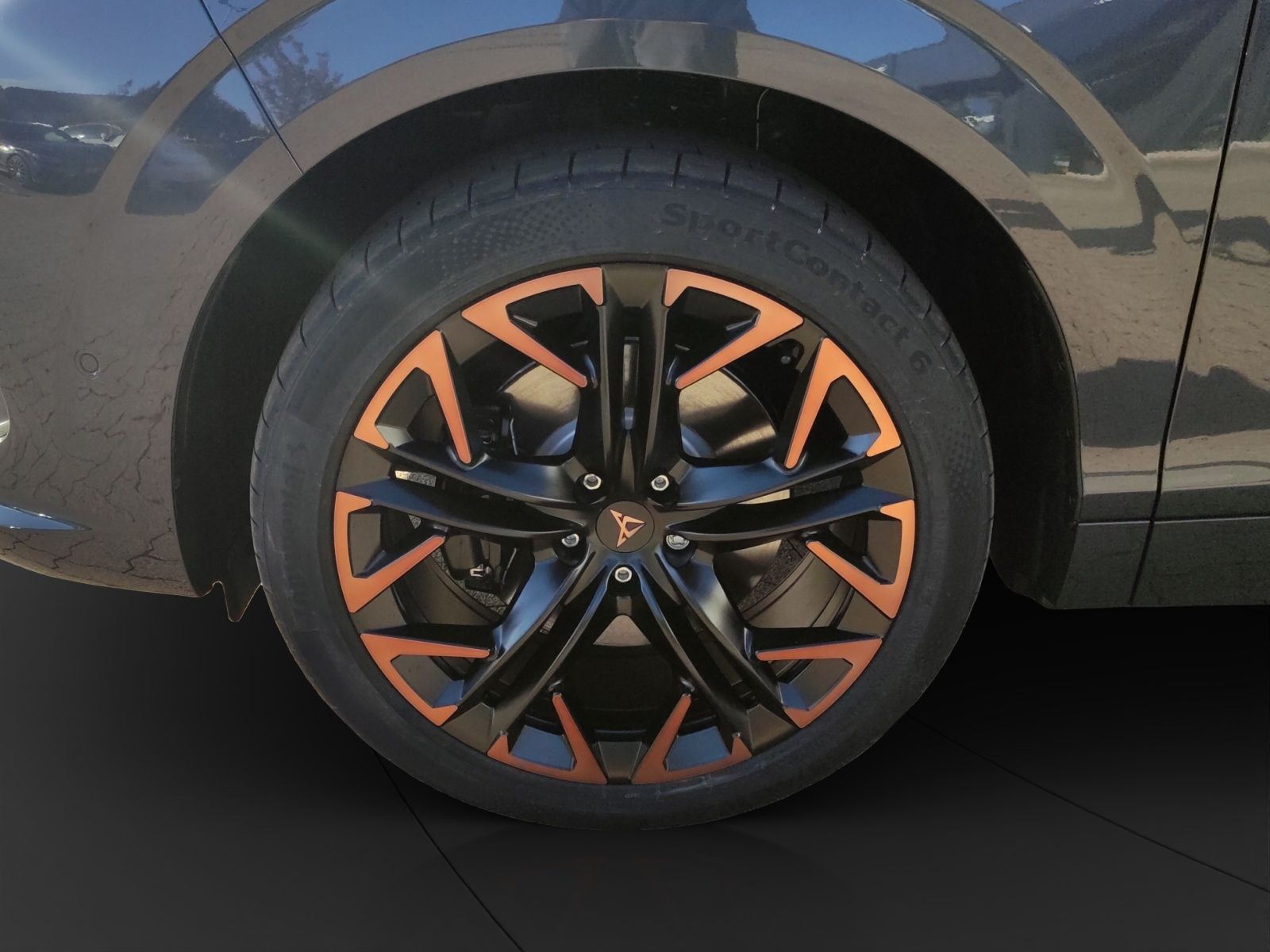 Cupra Terramar - Bild 8