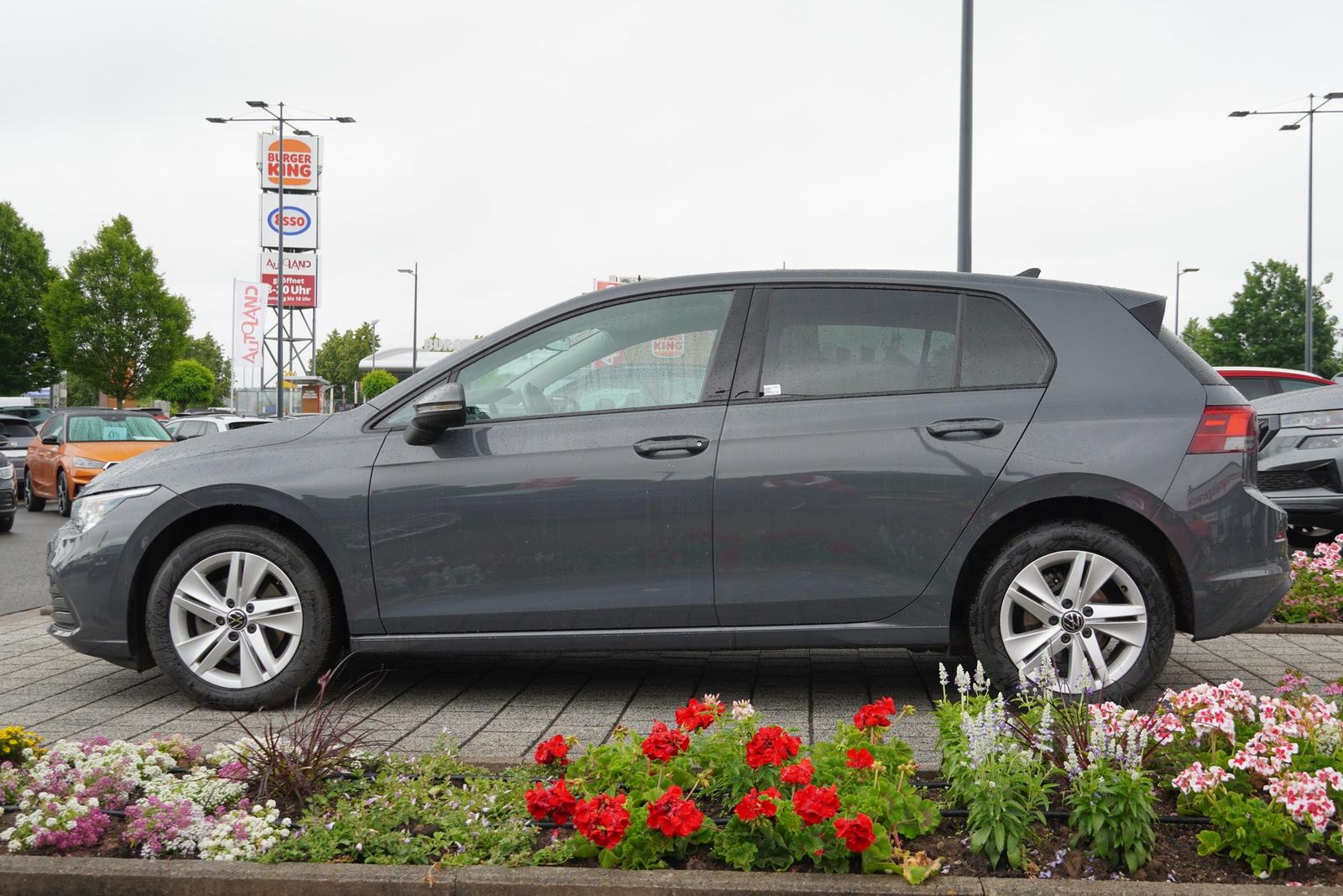 Volkswagen Golf VIII 1.5 16V TSI Life ACC LED Navi PDC, миниатюра 5