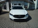 Mazda CX-30 2.5L e-SKYACTIV G 140 6MT FWD Prime-Line - Mazda CX-30 Prime-Line mit Benzin-Antrieb