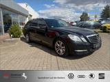 Mercedes-Benz E 350 T CDI 4M Avantgarde ab 69 EUR o.Anzahl AHK - Mercedes-Benz E 350 aus 2012 mit Diesel-Antrieb