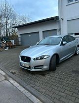Jaguar XF 3.0 Diesel - Jaguar in Karlsruhe