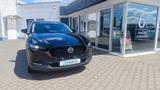 Mazda CX-30 2.5L e-SKYACTIV G 140ps Nagisa, Bose Sound - Mazda CX-30 Nagisa mit Hybrid-Antrieb (Benzin/Elektro)