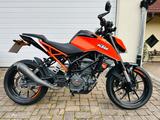 KTM DUKE 125/NEU TÜV/NEUE REIFEN/NEUER KETTENSATZ...