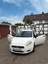 Fiat Punto 1.2 Benziner  Zuverlässig, gep... - Fiat Punto in Bonn