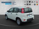Fiat Panda MY24 Hybrid 1.0 GSE 70PS KLIMAANLAGE*ZV* - Fiat Panda Jahreswagen
