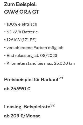 GWM Ora 03 - Bild 15