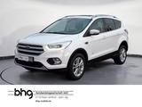 Ford Kuga 1.5 EcoBoost 4x4 Automatik Titanium AWD Pan - Ford Kuga: Titanium