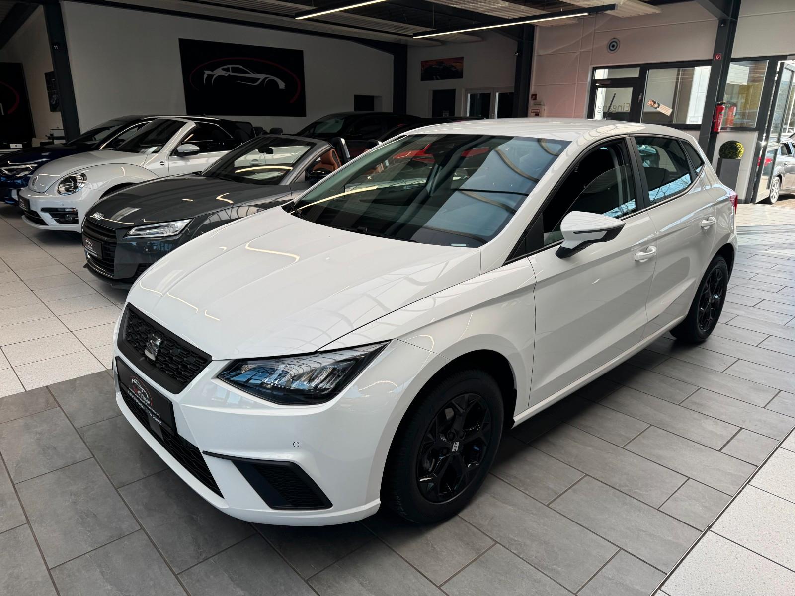Seat Ibiza Style