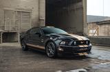 Ford Mustang 5.0 GT V8 Schalter/Premium/R19/Kamera - gebrauchte Ford Mustang aus dem Jahr 2013