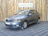 Skoda Fabia/GreenTec/SHZ/StartStop/ComfortPaket - Skoda Fabia in Braunschweig