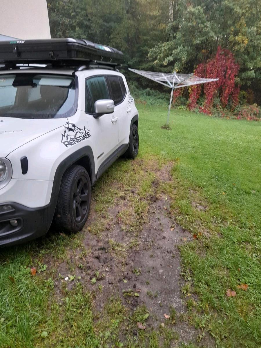 Jeep Renegade 2014 — rear view