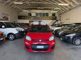 Fiat Panda 1.2 Trussardi - Fiat Panda TRUSSARDI mit Benzin-Antrieb