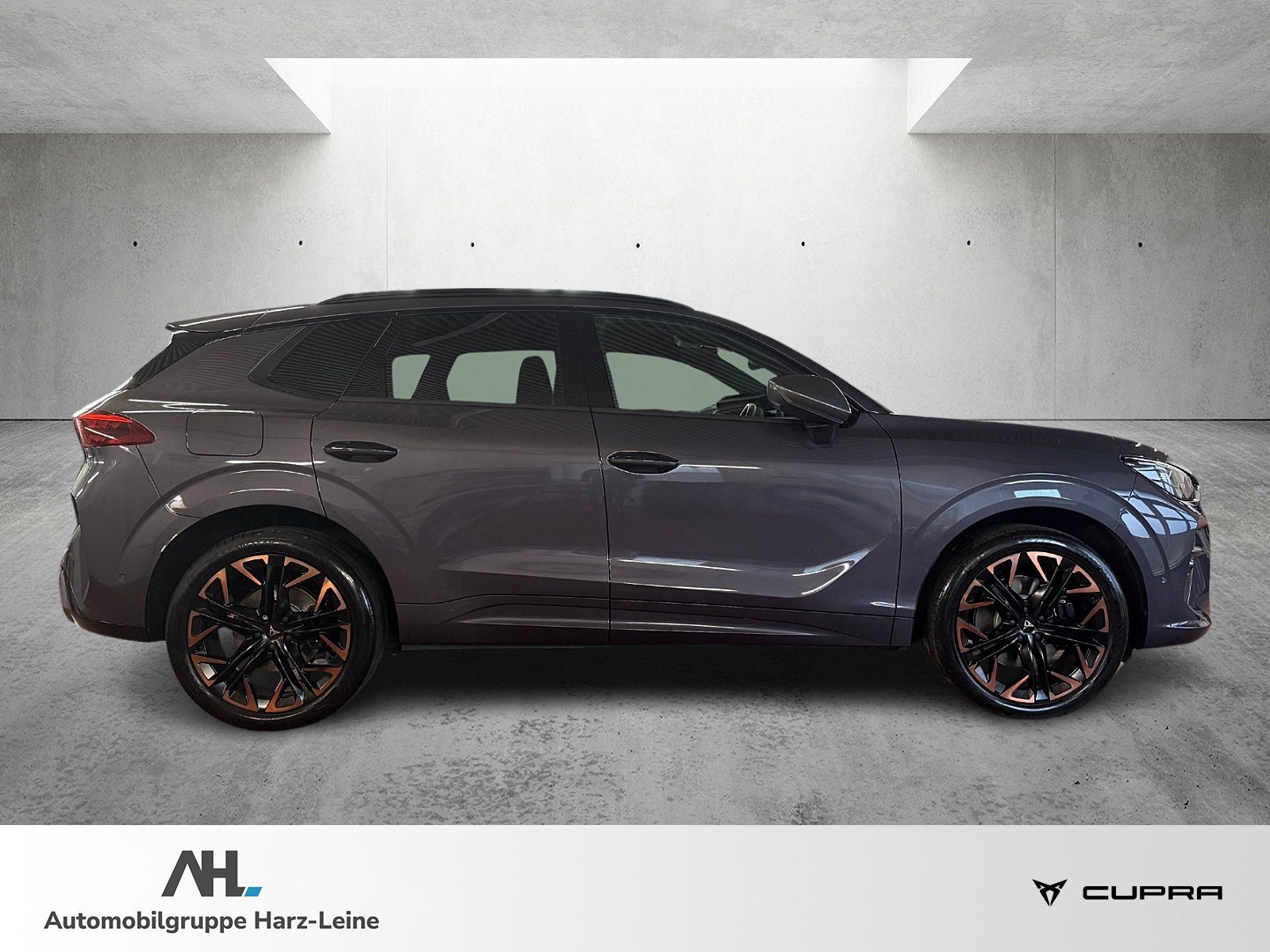 Cupra Terramar - Bild 6