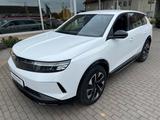 Opel Grandland-e Nav/Allwetterb./Klimaaut./Wint.P./PP