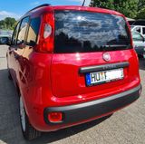 Fiat PANDA 1,2 KLIMA/Tüv neu/ - Fiat Panda aus 2013