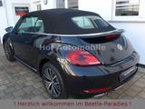 Volkswagen Beetle 2.0TDI DSG Allstar Xenon Kamera Navi SHZ - Volkswagen Beetle mit Diesel-Antrieb: Cabrio