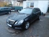 Mercedes-Benz E 350 CDI 4MATIC T BlueEFF. AVANTGARDE AVANT... - Mercedes-Benz E 350 in Dresden
