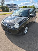 Volkswagen Lupo 1.2 TDI Automatik - Volkswagen Lupo mit Diesel-Antrieb: Kleinwagen, 1.2