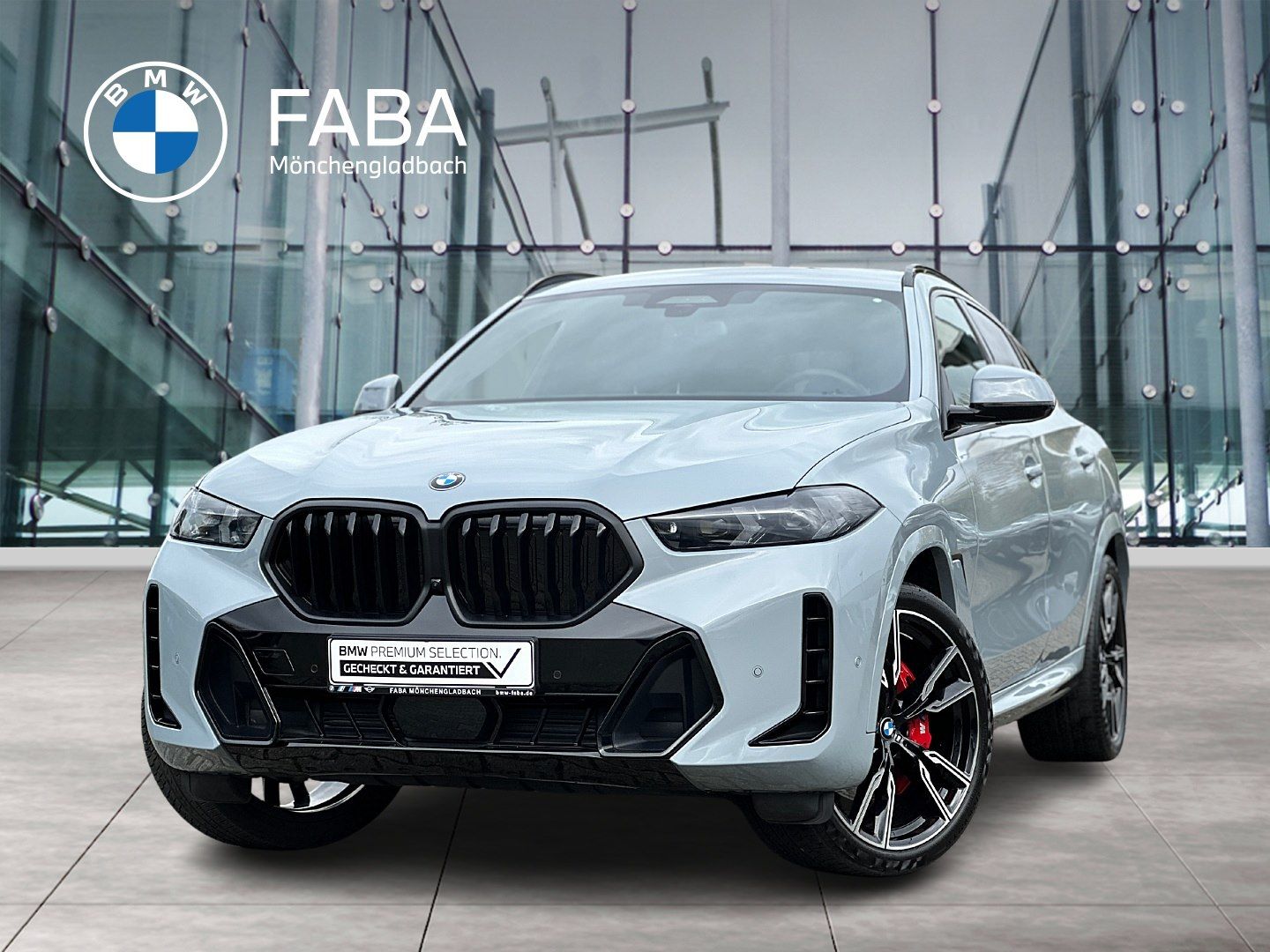 BMW X6 xDrive30d M Sport Sportpaket Pro Iconic Glow 