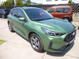 Ford Kuga 2,5 ST-Line/Klima/Navi/Kamera/Sitz-Heiz/LED - Ford Kuga in Mannheim