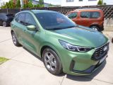 Ford Kuga 2,5 ST-Line/Klima/Navi/Kamera/Sitz-Heiz/LED - Ford: Grün, Metallic, Ka