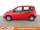 Fiat Panda 1.2 Easy*PDC*SHZ*KLIMA*GARANTIE* - Fiat Panda: Rot