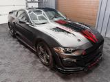Ford Mustang 2.3 GT500 SHELBY LOOK - Ford Mustang Gebrauchtwagen in Dortmund